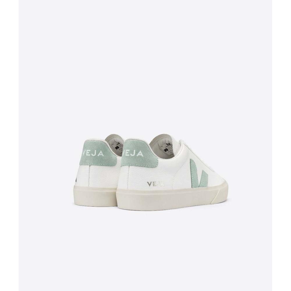 White/Mint Men's Veja CAMPO CHROMEFREE Low Tops Sneakers | AU 295RVD